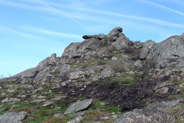 Foto 8 da atividade Galeria de Fotos