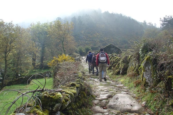 Foto 61 da atividade Galeria de Fotos