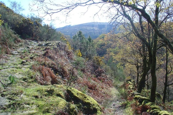 Foto 59 da atividade Galeria de Fotos