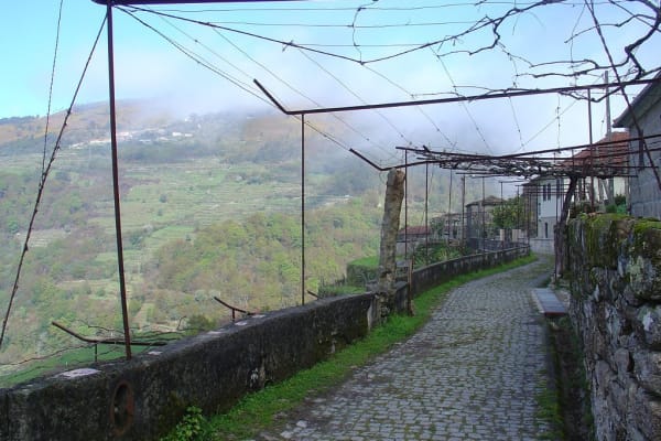 Foto 52 da atividade Galeria de Fotos