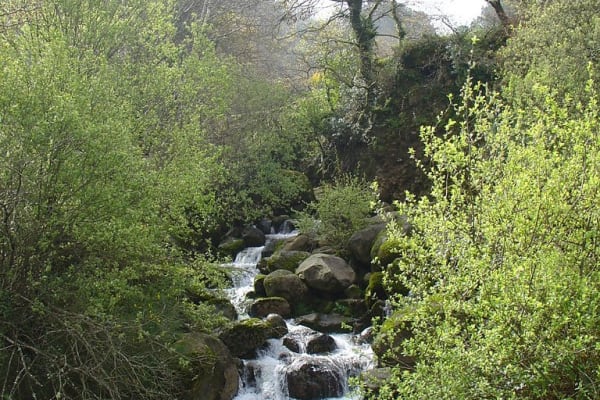 Foto 50 da atividade Galeria de Fotos