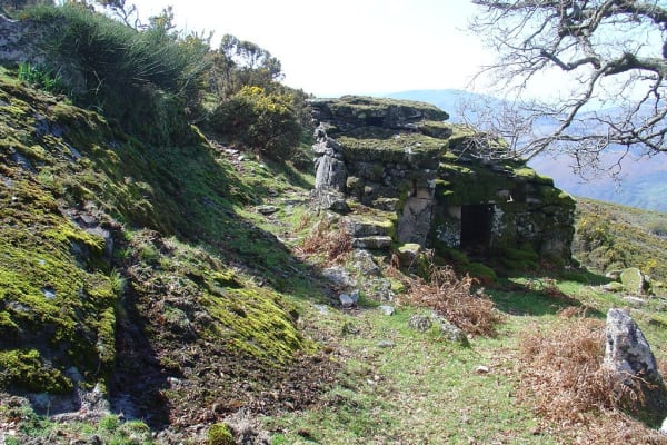 Foto 43 da atividade Galeria de Fotos