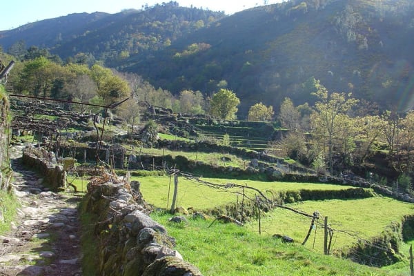 Foto 41 da atividade Galeria de Fotos