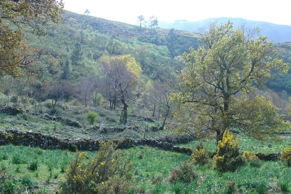 Foto 36 da atividade Galeria de Fotos