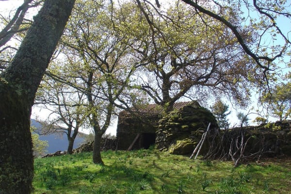 Foto 31 da atividade Galeria de Fotos