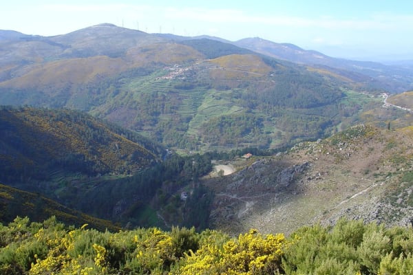 Foto 38 da atividade Galeria de Fotos