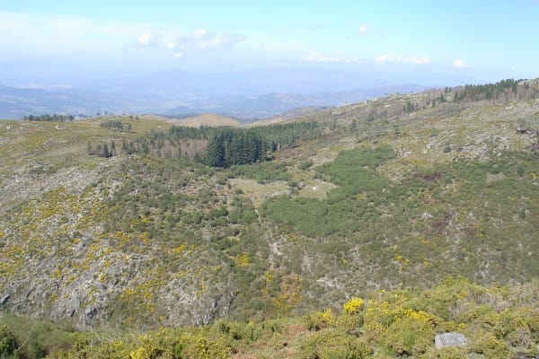 Foto 29 da atividade Galeria de Fotos