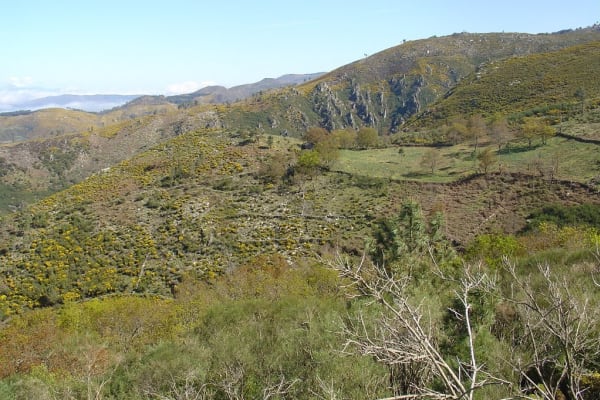 Foto 9 da atividade Galeria de Fotos