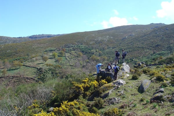 Foto 2 da atividade Galeria de Fotos