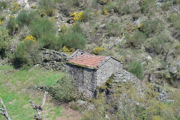 Foto 4 da atividade Galeria de Fotos