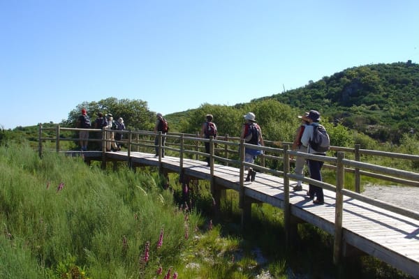 Foto 52 da atividade Galeria de Fotos