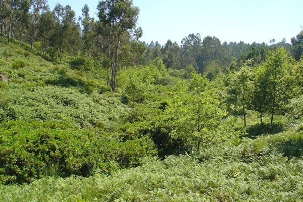 Foto 45 da atividade Galeria de Fotos