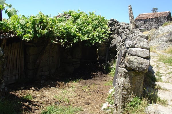 Foto 32 da atividade Galeria de Fotos