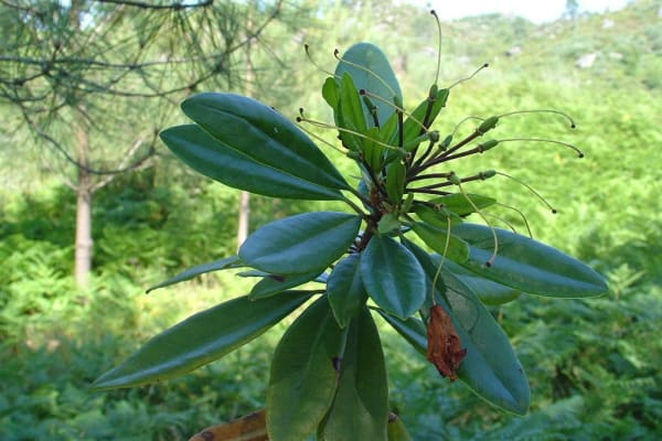 Foto 29 da atividade Galeria de Fotos