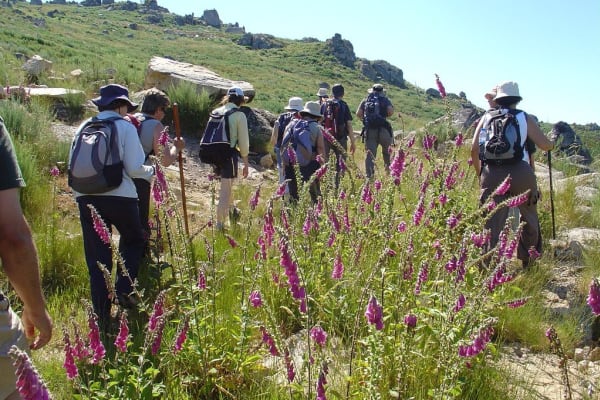 Foto 15 da atividade Galeria de Fotos