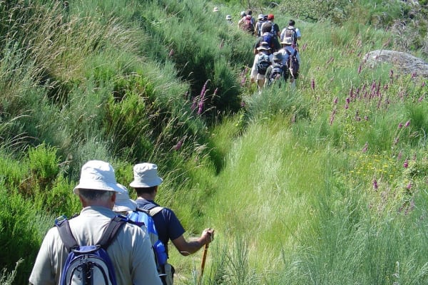 Foto 12 da atividade Galeria de Fotos