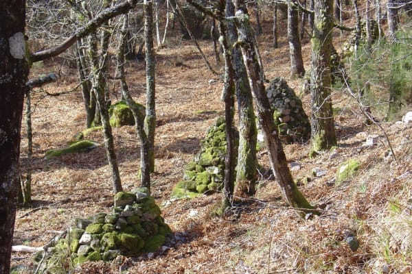 Foto 87 da atividade Galeria de Fotos