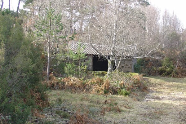 Foto 72 da atividade Galeria de Fotos