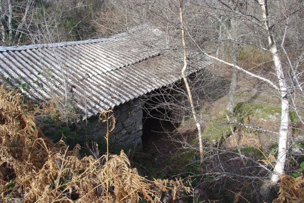 Foto 60 da atividade Galeria de Fotos