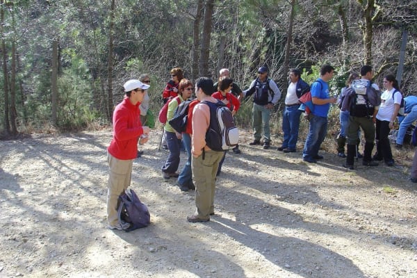 Foto 8 da atividade Galeria de Fotos