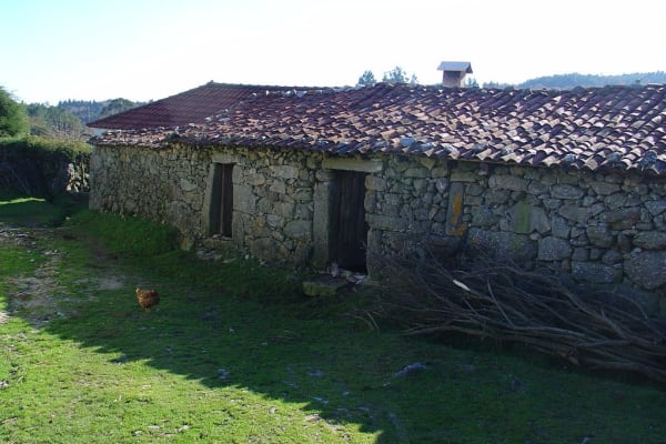 Foto 78 da atividade Galeria de Fotos