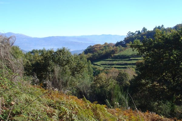 Foto 57 da atividade Galeria de Fotos