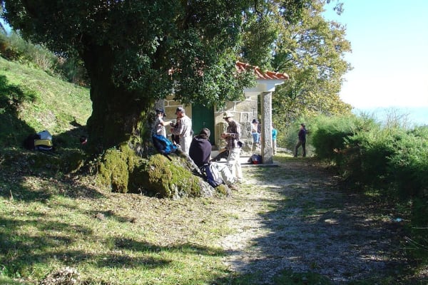 Foto 52 da atividade Galeria de Fotos