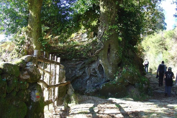 Foto 44 da atividade Galeria de Fotos