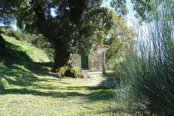 Foto 45 da atividade Galeria de Fotos