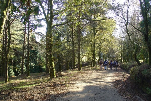 Foto 47 da atividade Galeria de Fotos