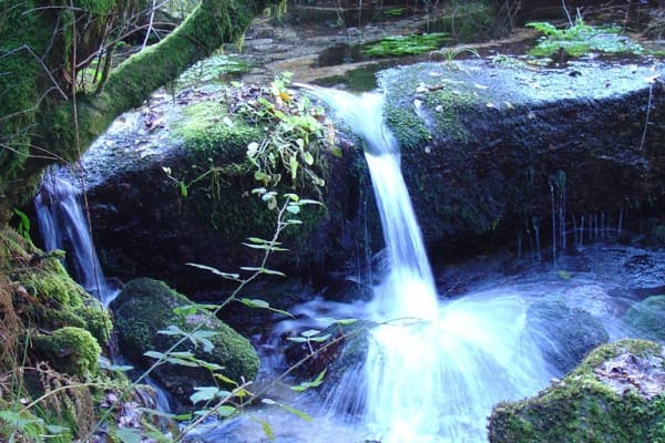 Foto 37 da atividade Galeria de Fotos