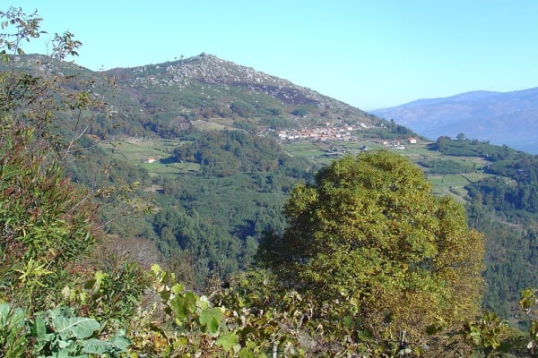 Foto 25 da atividade Galeria de Fotos