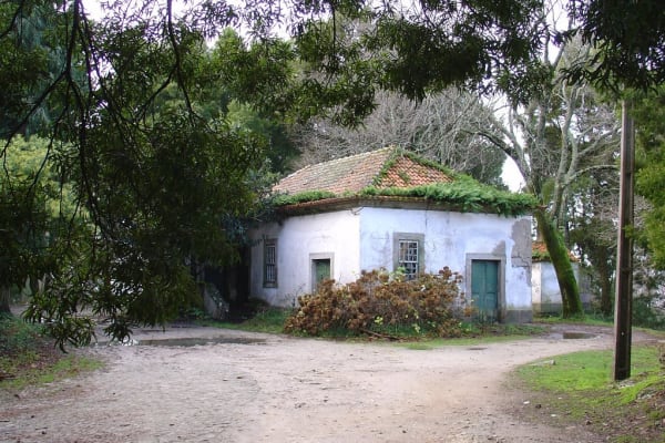 Foto 90 da atividade Galeria de Fotos