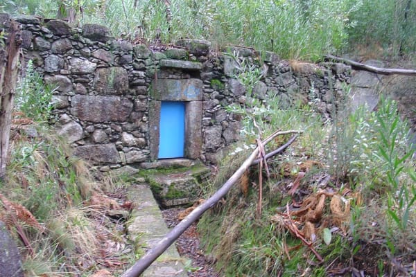 Foto 91 da atividade Galeria de Fotos