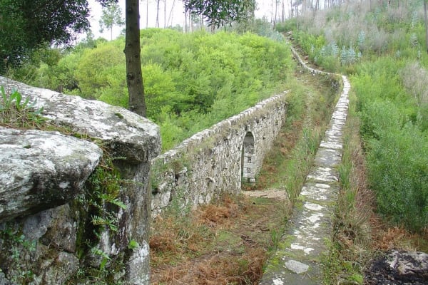 Foto 86 da atividade Galeria de Fotos