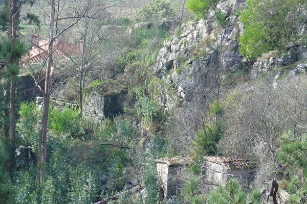 Foto 74 da atividade Galeria de Fotos