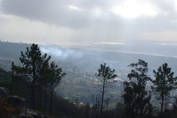 Foto 79 da atividade Galeria de Fotos