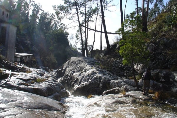 Foto 58 da atividade Galeria de Fotos