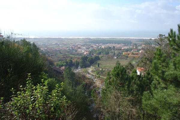 Foto 43 da atividade Galeria de Fotos