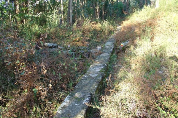 Foto 37 da atividade Galeria de Fotos