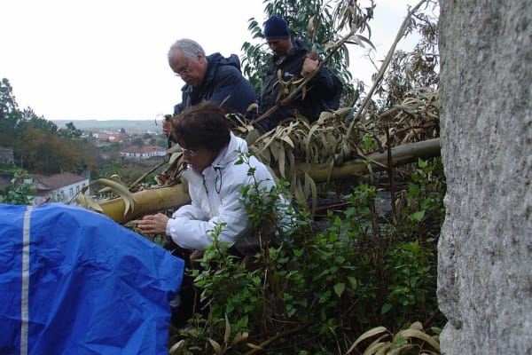 Foto 24 da atividade Galeria de Fotos