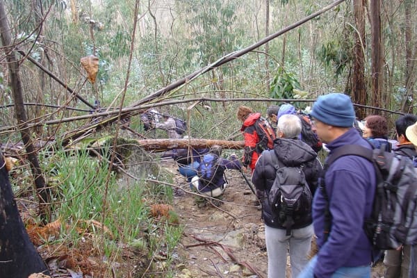 Foto 11 da atividade Galeria de Fotos