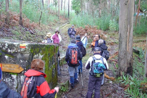 Foto 5 da atividade Galeria de Fotos