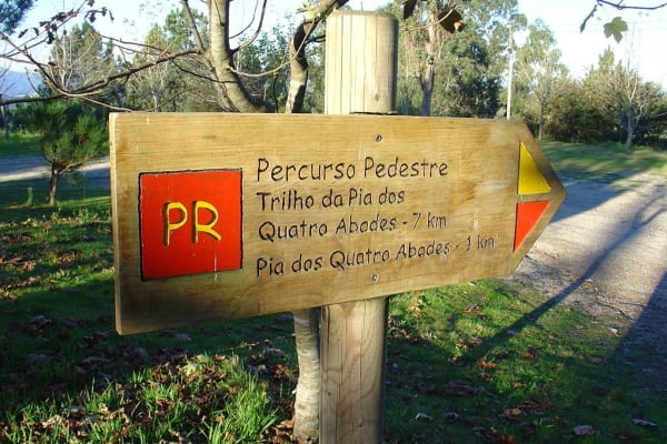 Foto 108 da atividade Galeria de Fotos