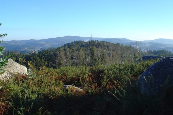 Foto 98 da atividade Galeria de Fotos