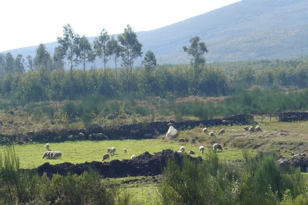 Foto 66 da atividade Galeria de Fotos