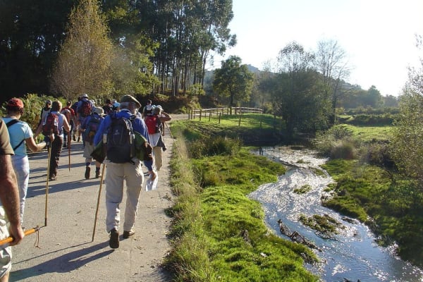 Foto 71 da atividade Galeria de Fotos