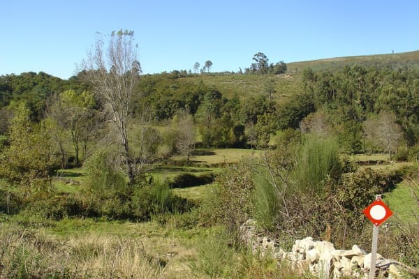 Foto 54 da atividade Galeria de Fotos