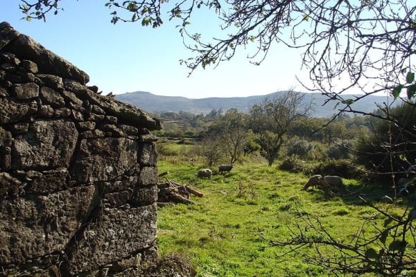 Foto 41 da atividade Galeria de Fotos