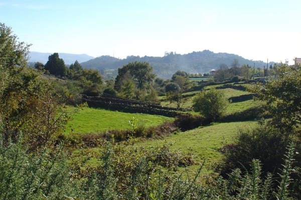 Foto 26 da atividade Galeria de Fotos